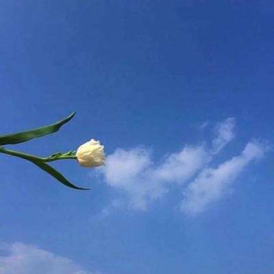 迷失星球2无限金币版下载