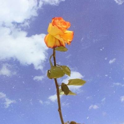 剑圣online破解版下载