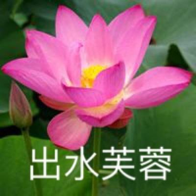 魔剑侠缘九游版下载